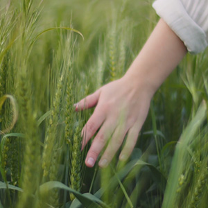 Nachhaltigkeit background